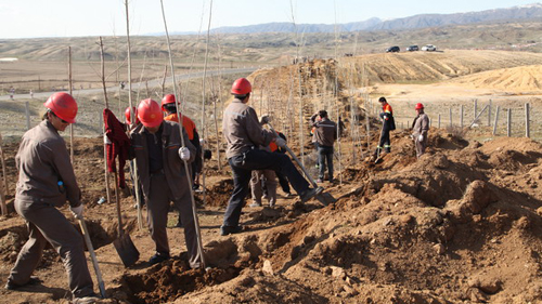 PAÆì½¢Ìü(ÖйúÇø)¼¯ÍÅ