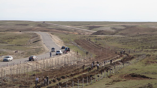 PAÆì½¢Ìü(ÖйúÇø)¼¯ÍÅ