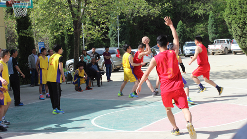 PAÆì½¢Ìü(ÖйúÇø)¼¯ÍÅ