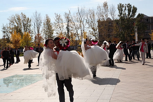 PA�콢��(�й���)����