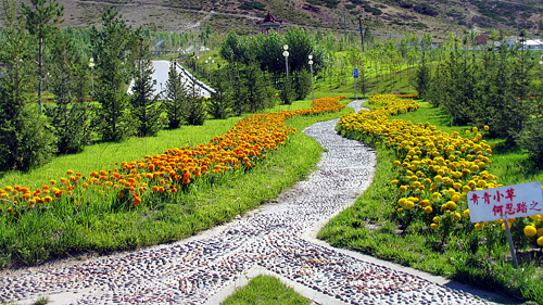 PA�콢��(�й���)����