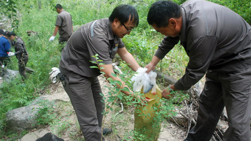 PA�콢��(�й���)����