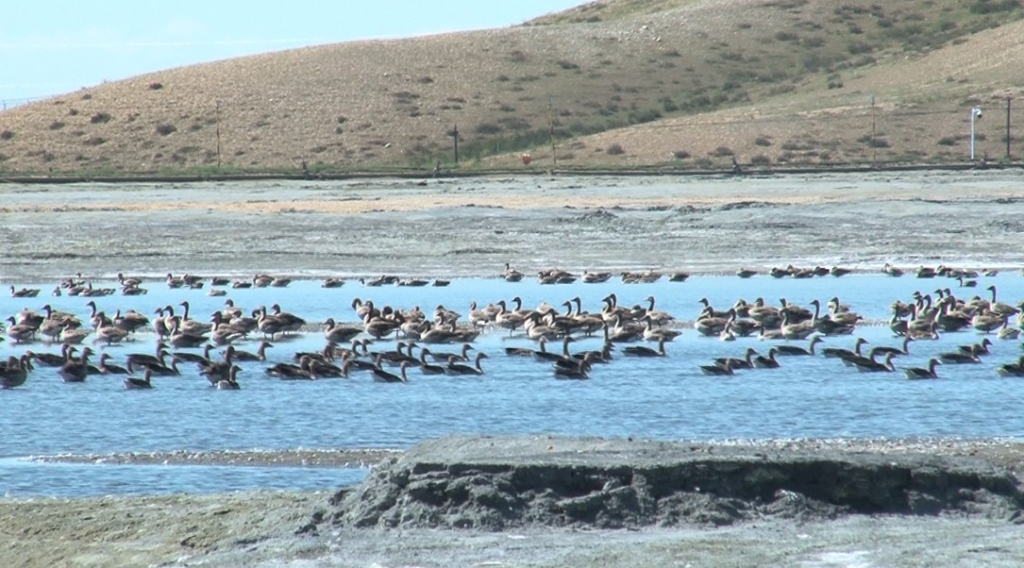 �й���ҵ��ح������ͭҵ�������ҵ��������԰����