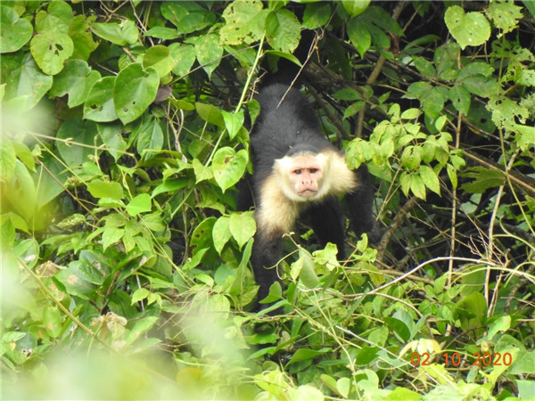 PA�콢��(�й���)���ſ�ҵ�ġ�����֮Լ��