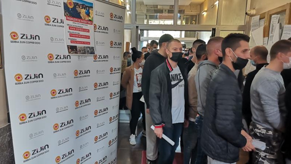 ����ͭ������Ү�����ר����Ƹ��