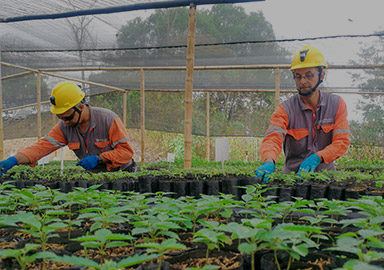 PA�콢��(�й���)����