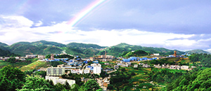 PA�콢��(�й���)����