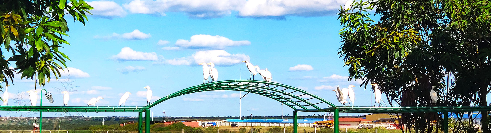 ��̬������������������