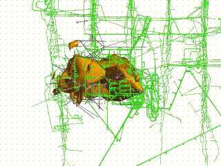 ����կ���