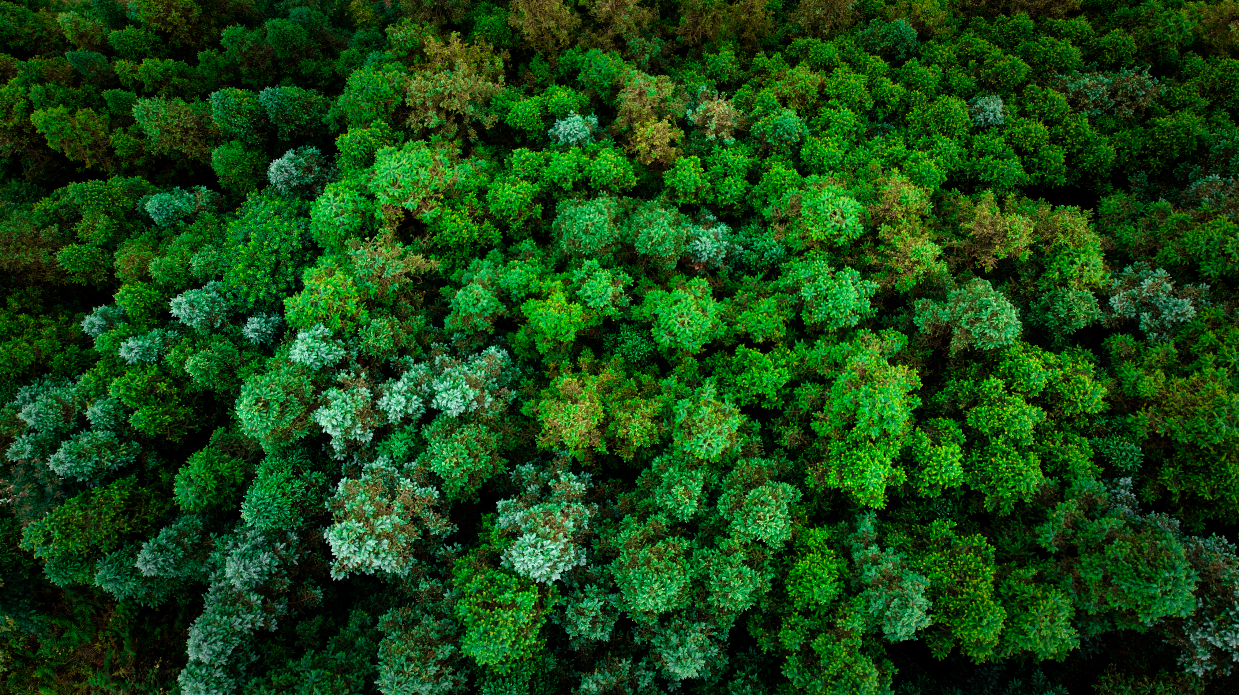 PA�콢��(�й���)����