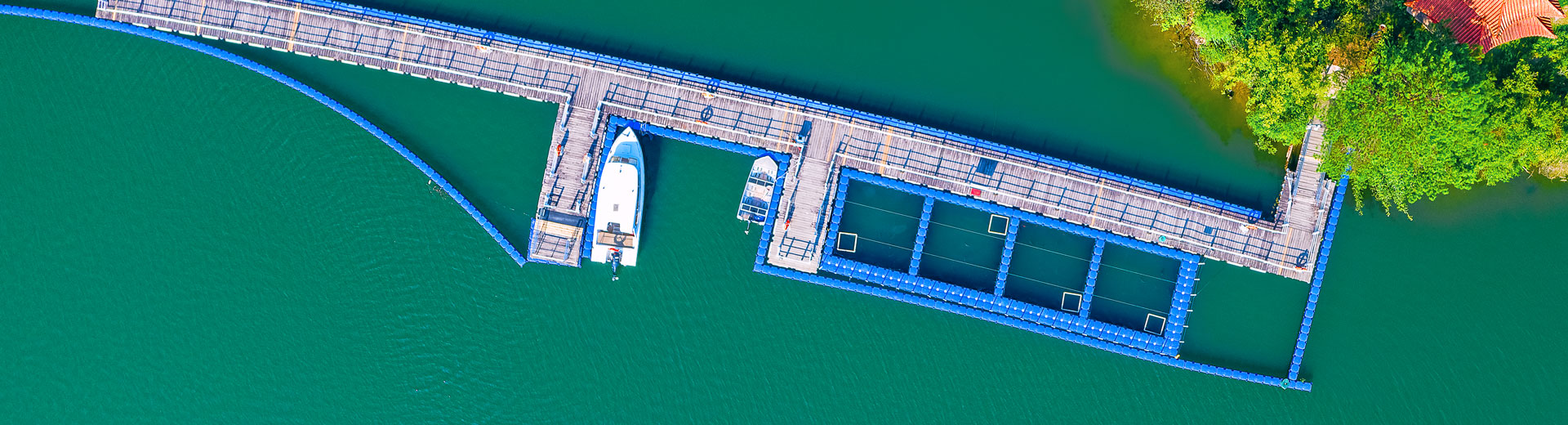 �����̼��δ��