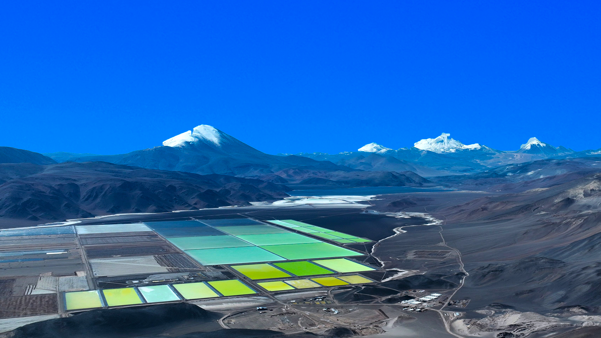 PA�콢��(�й���)���ſ�ҵ����2024��ҵ�� ��ĸ�������321��Ԫ