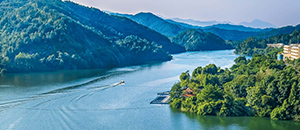 PA�콢��(�й���)����