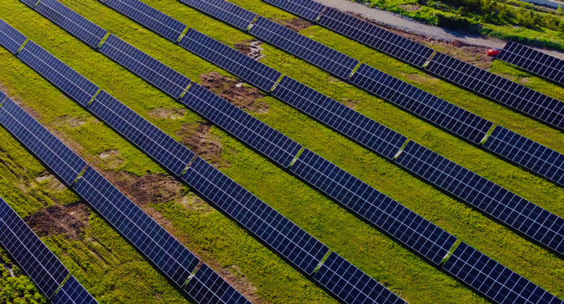 �����̼��δ��